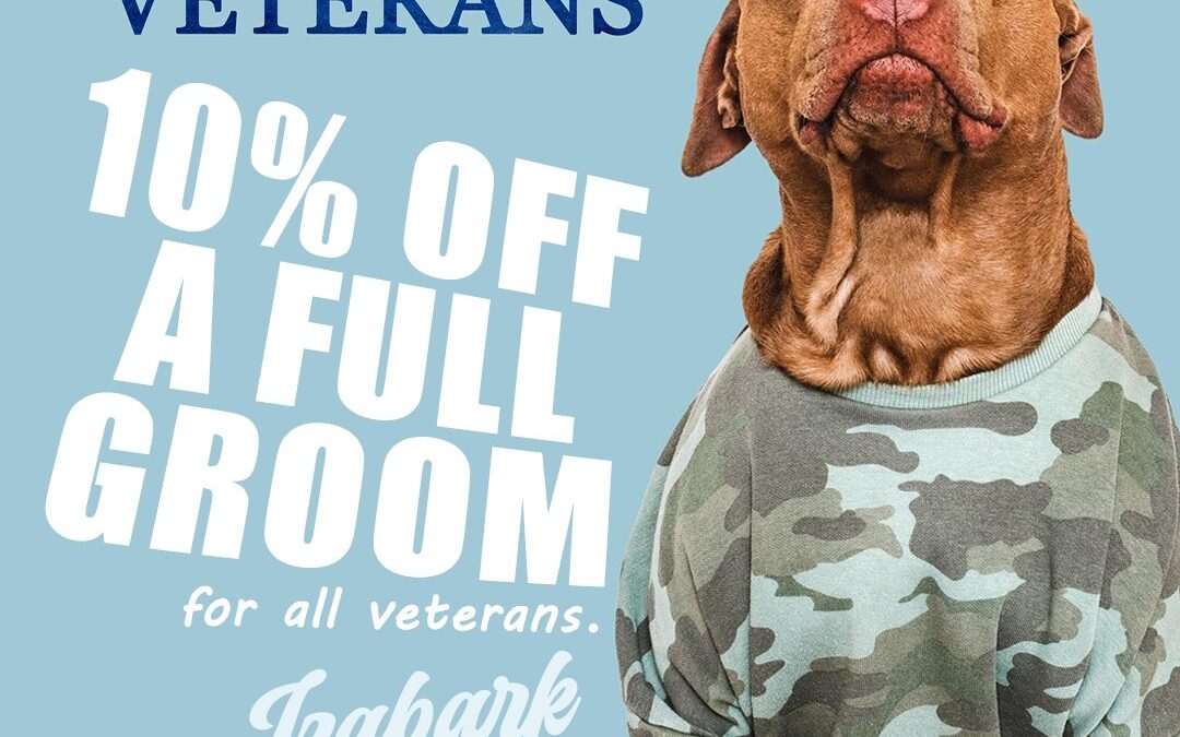 Veterans Day Promotion